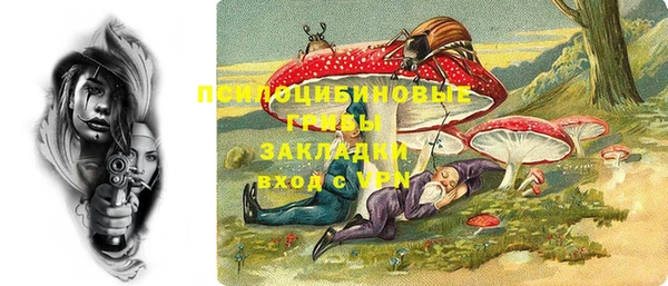 спиды Алексеевка
